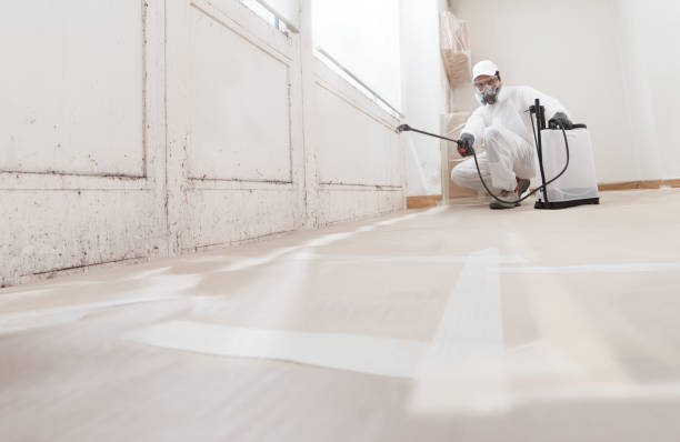 24/7 Emergency Mold Testing experts in Frisco, TX